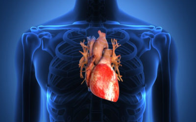 Los estudios cardiológicos que todo paciente post covid debe realizarse