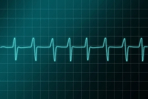 Monitor Holter Cardíaco - ECG De 3 Canales | Grupo Cardiológico Boskis