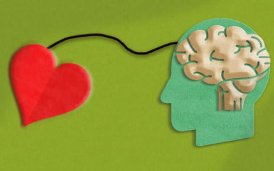 Por qué es importante cuidar la salud cardiovascular para tener un cerebro saludable en el futuro
