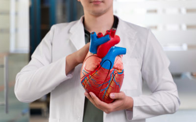 Qué es un paro cardíaco, cuáles son sus causas y cómo prevenirlo